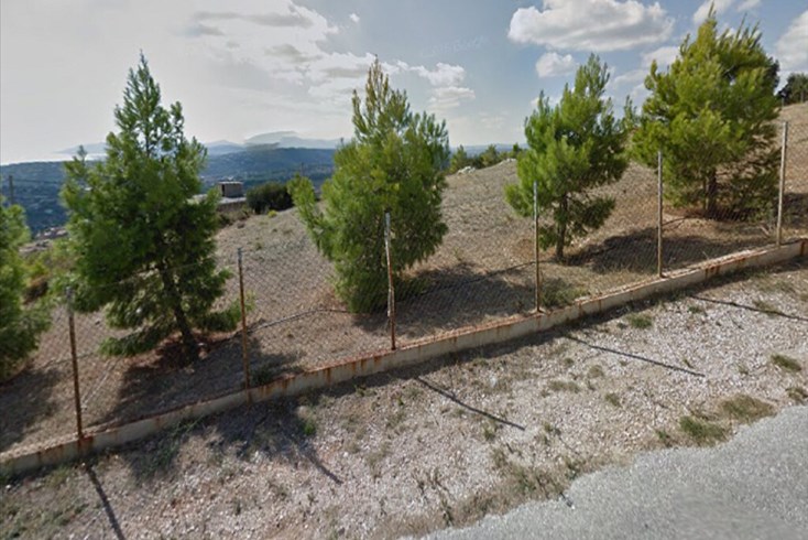 Realty photo 1