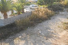 Property 1468 photo 5