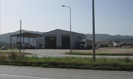 Poslovni prostor 770 m² u Volosu - Pilija