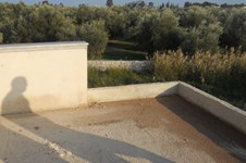 Property 1473 photo 2