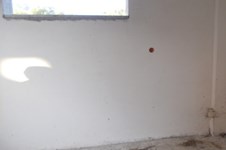 Property 1473 photo 7
