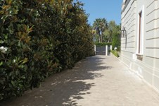 Property 1474 photo 5