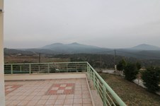 Property 14774 photo 3