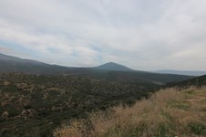 Property 14774 photo 5