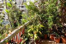 Property 1478 photo 10