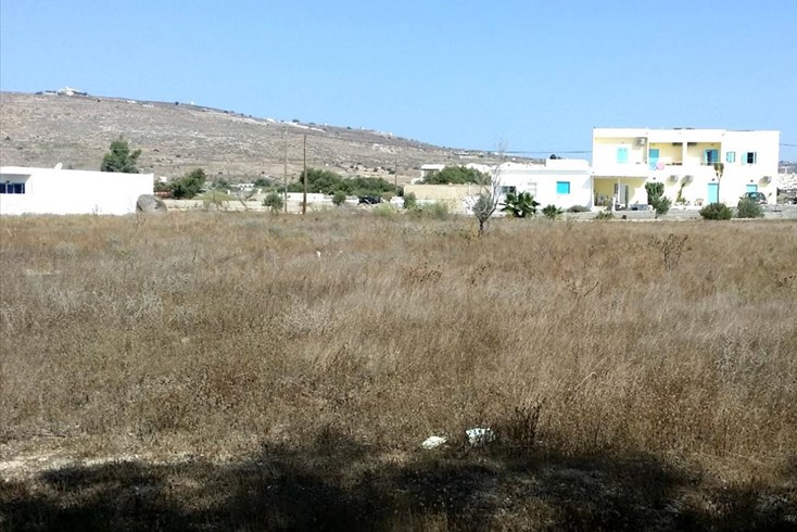 Realty photo 2