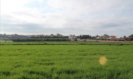 Land 9000 m² in Kassandra, Chalkidiki