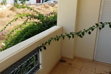 Property 1495 photo 6