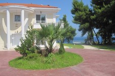 Property 150 photo 3