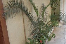 Property 1512 photo 8