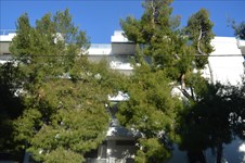 Property 15191 photo 9