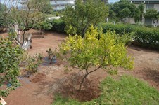 Property 15223 photo 2