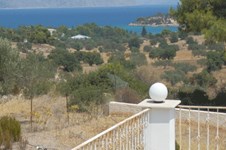 Property 1537 photo 1