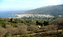 Land 11000 m² in Cyclades