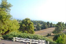 Property 1578 photo 20