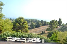 Property 1578 photo 22