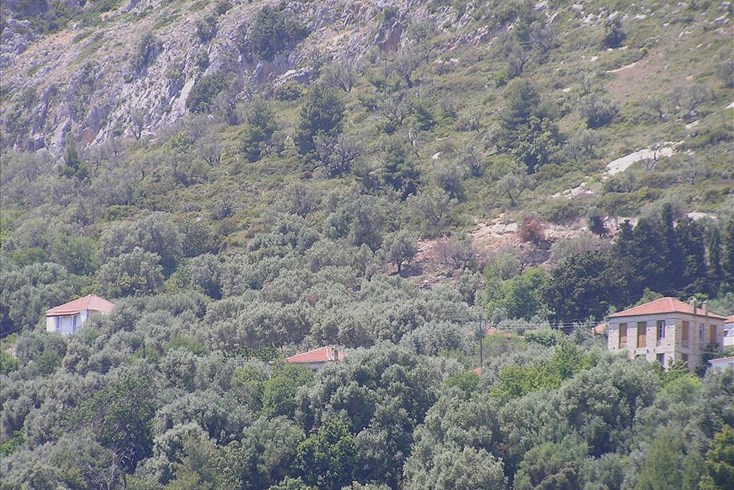 Realty photo 2