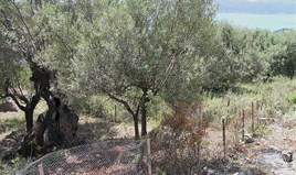 Land 1010 m² in Ionian Islands