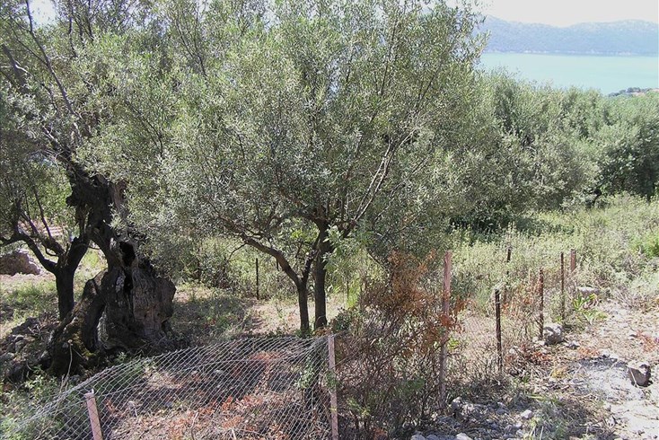 Realty photo 1