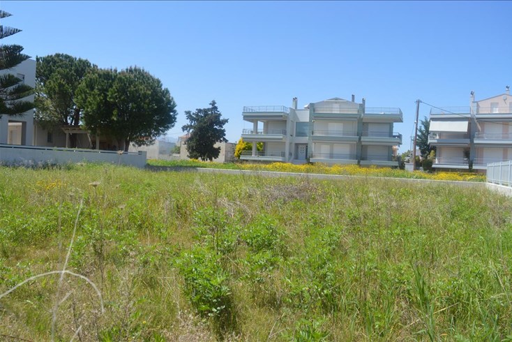 Realty photo 2