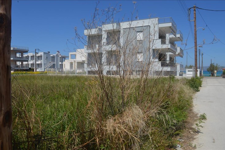 Realty photo 1