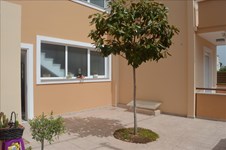 Property 15799 photo 3