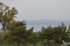 Property 15799 photo 4