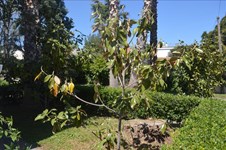 Property 15805 photo 5