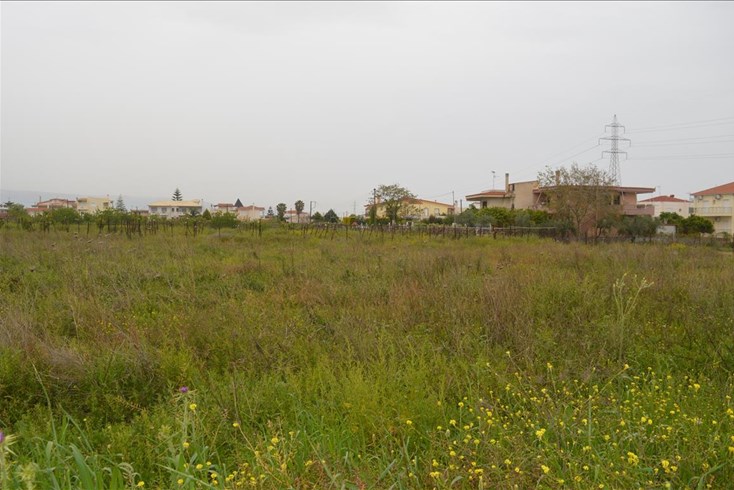 Realty photo 2