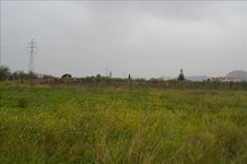 Property 15814 photo 3