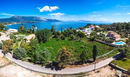 Land 8800 m² in Corfu