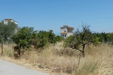 Property 1587 photo 1