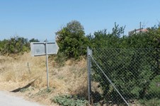 Property 1587 photo 3