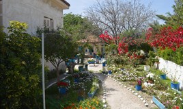 Land 1600 m² in Eastern Peloponnese