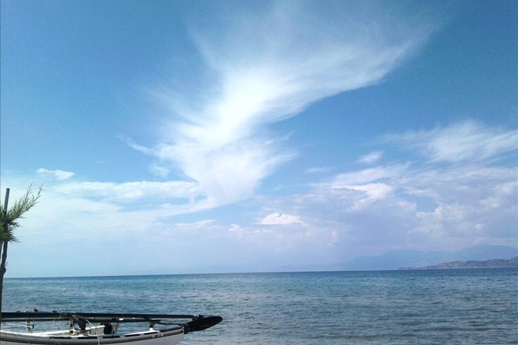 Realty photo 1