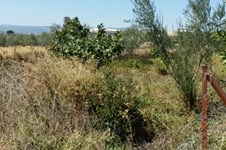 Property 1592 photo 3