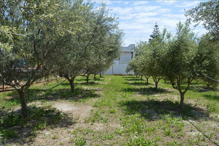 Realty photo 2