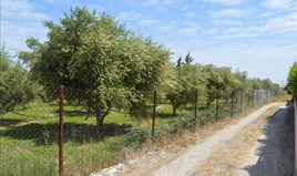 Zemljište 2000 m² na Istočnom Peloponezu