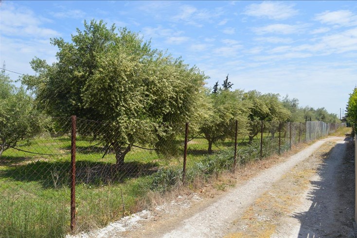 Realty photo 1