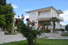Property 15963 photo 1