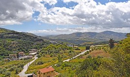 Парцел 12000 m² на Крит