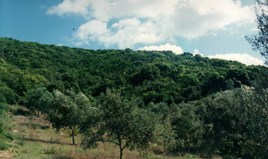 Land 68000 m² auf Korfu