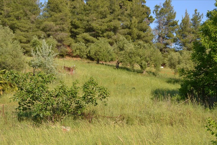 Realty photo 1