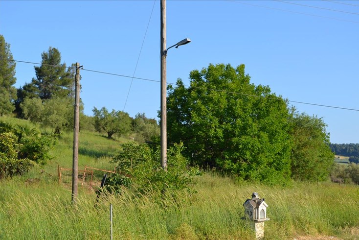 Realty photo 2