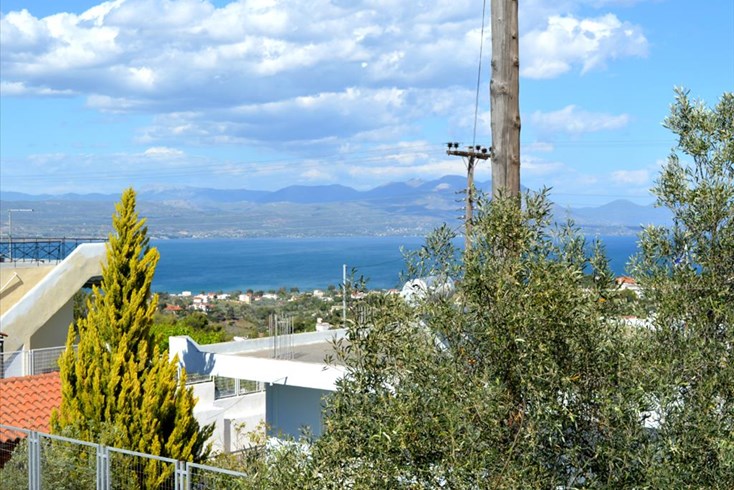 Realty photo 1