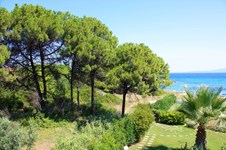 Property 16376 photo 3