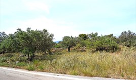 Land 1673 m² in Crete