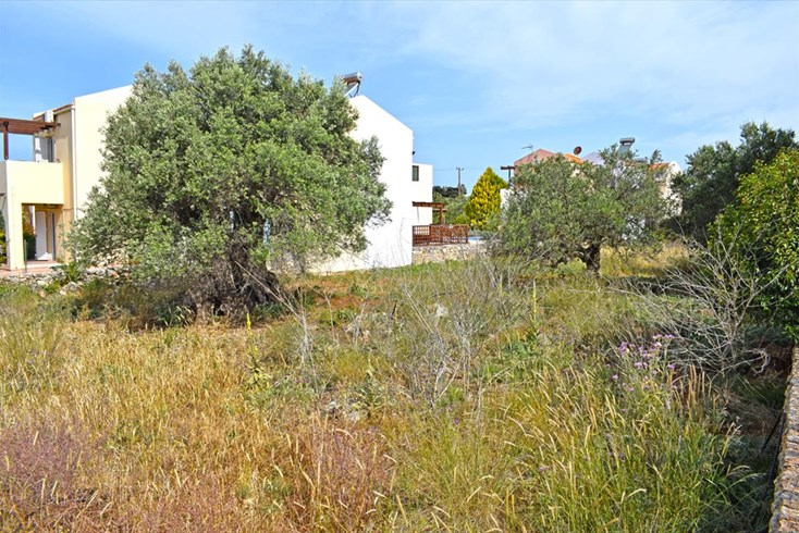Realty photo 2