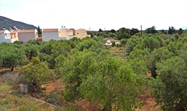 Land 813 m² in Crete