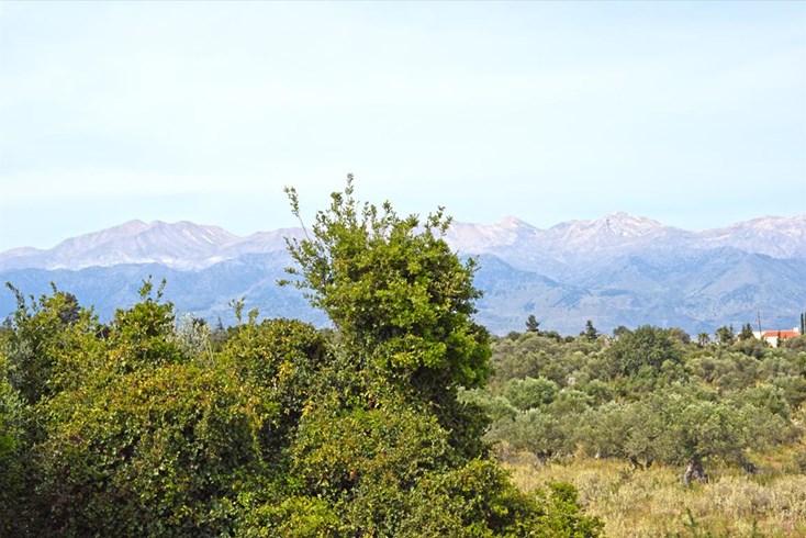 Realty photo 1